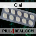 Cial 08